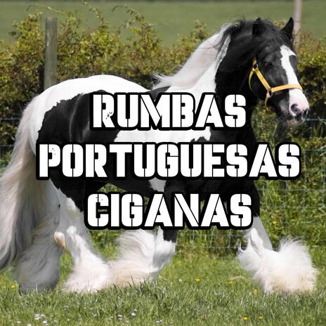 Rumba Portuguesa 2025 (Zezinho Cigano)