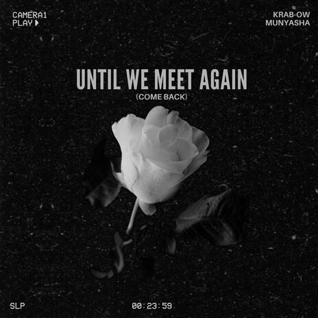 Until We Meet Again (Come Back) ft. Sihle & Munyasha | Boomplay Music