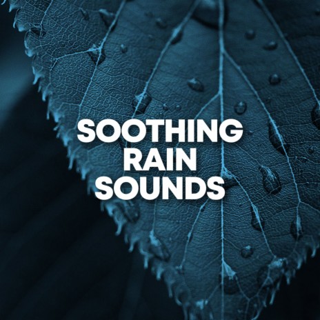 4D Rain Sound Effect