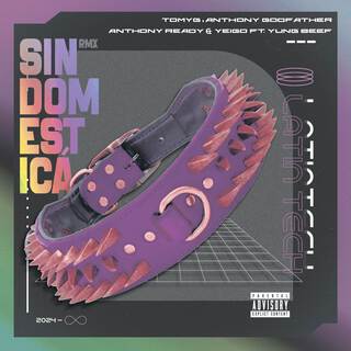 Sin Domesticar (Latin Tech) (Remix)