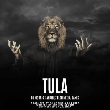 Dj Modric & Ananiuz Elohim & Dj Zakes-Tula | Boomplay Music