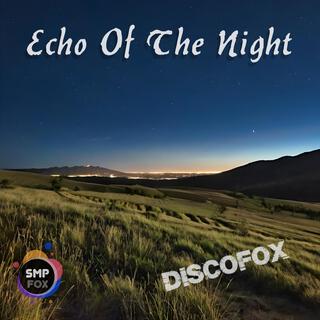 Echo Of The Night lyrics | Boomplay Music