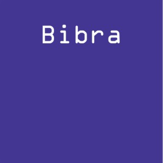 Bibra