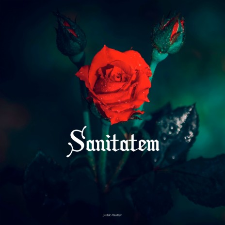 Sanitatem | Boomplay Music