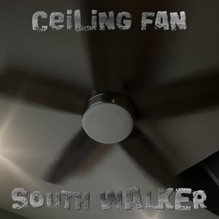 Ceiling Fan