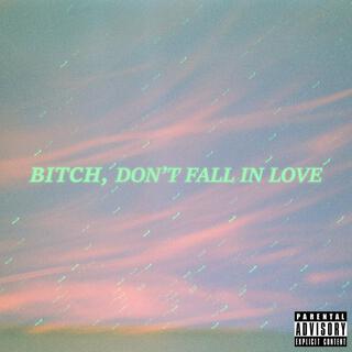 Bitch, Don't Fall in Love