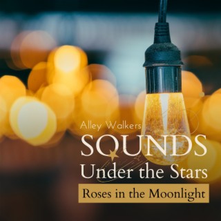 Sounds Under the Stars - Roses in the Moonlight