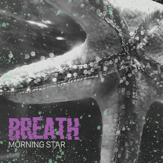 Morning Star