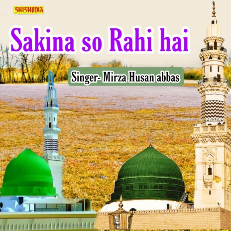 Sakina So Rahi Hai | Boomplay Music