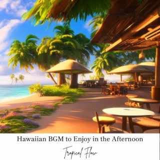 Hawaiian Bgm to Enjoy in the Afternoon