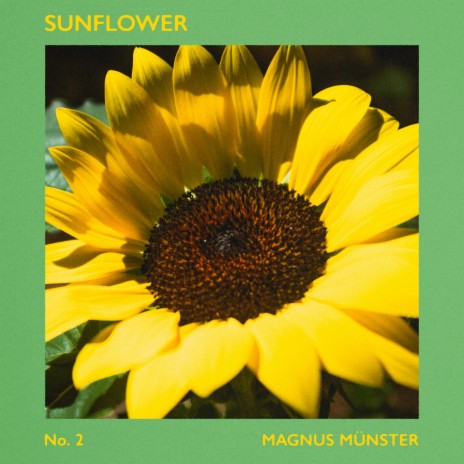 Sunflower | Boomplay Music