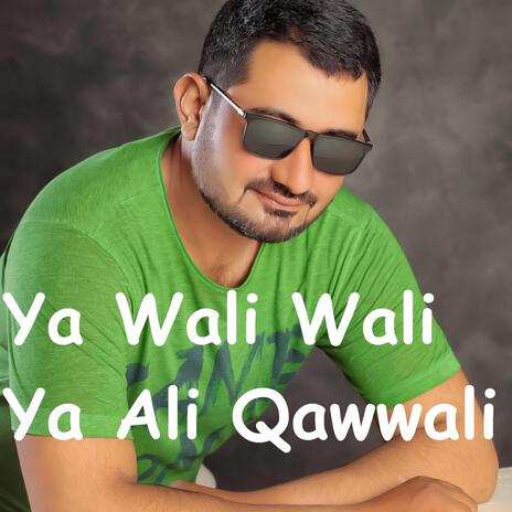 Ya Wali Wali Ya Ali Qawwali | Boomplay Music