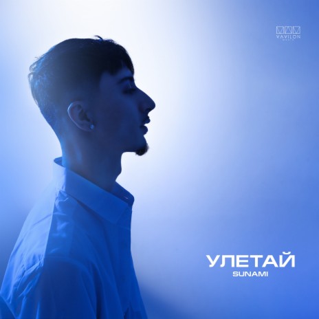 Улетай | Boomplay Music