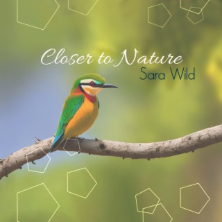 Closer to Nature: Relaxing Music for Stress Relief, Forest Birdsong Nature Sounds, Deep Healing Music for The Body