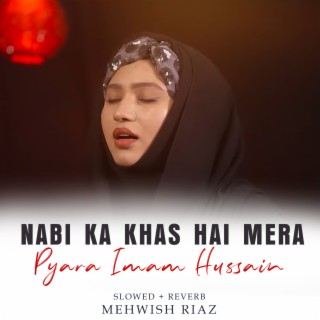 Nabi Ka Khas Hai Mera Pyara Imam Hussain Lofi