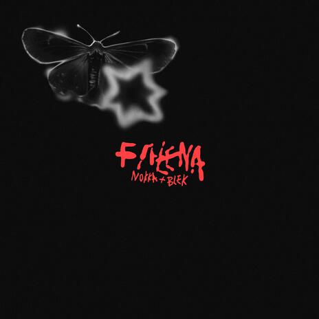 FALENA ft. Blek | Boomplay Music