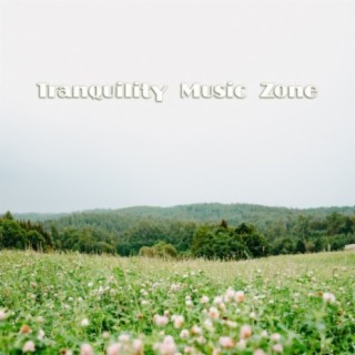 Tranquility Music Zone