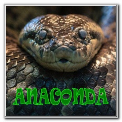 Anaconda Mood