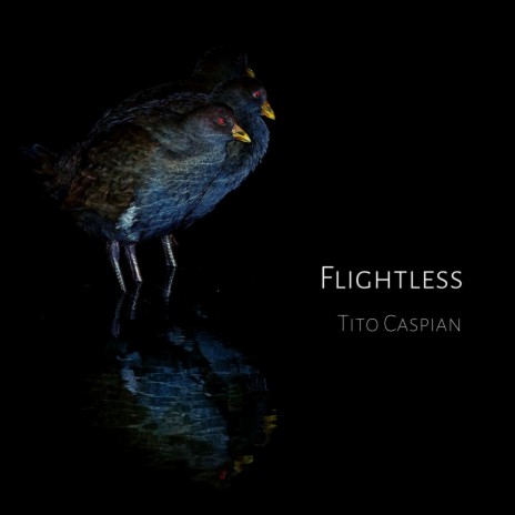 Flightless | Boomplay Music
