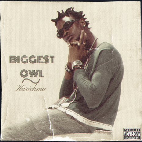 Biggest Owl | Boomplay Music