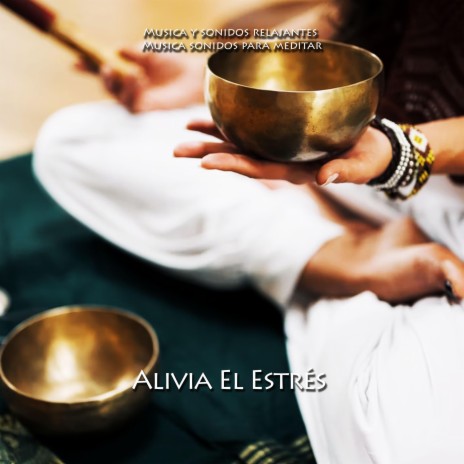 Alivia el Estres ft. Musica sonidos para meditar