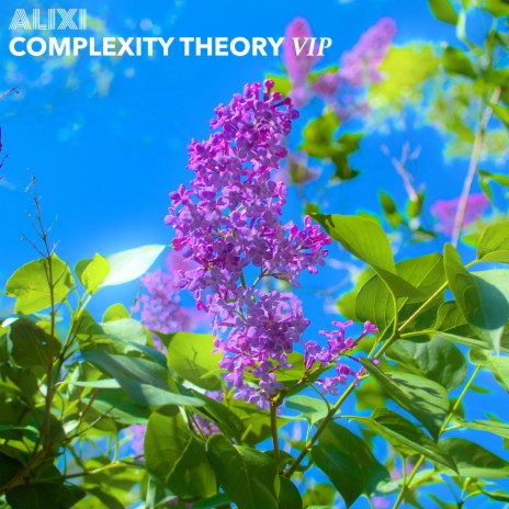 Complexity Theory (VIP) | Boomplay Music