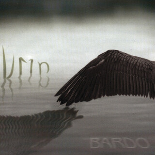 Bardo