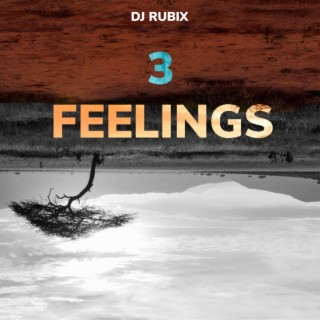 3 Feelings