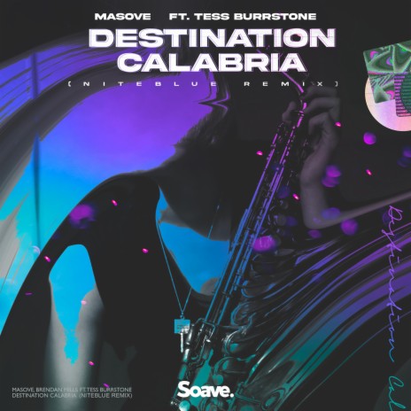Destination Calabria (Niteblue Remix) ft. Tess Burrstone & Niteblue | Boomplay Music