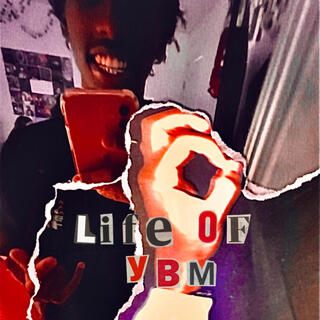 LIFE OF YBM