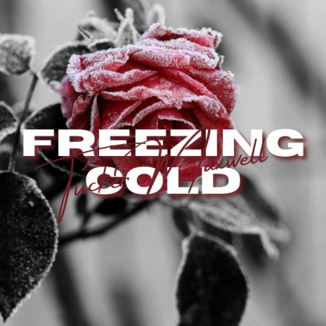 Freezing Cold | Boomplay Music