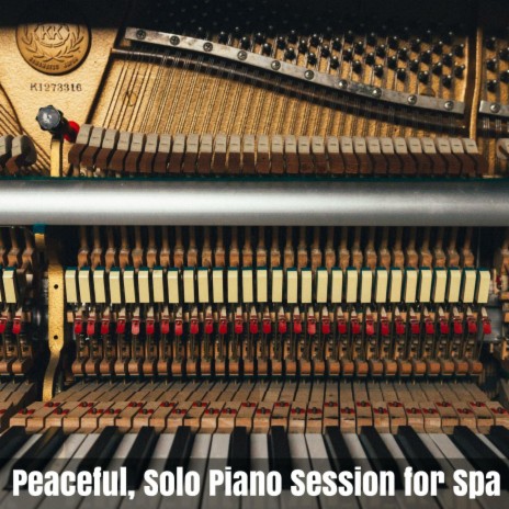 Calms of Classical (Solo Piano in C Major)