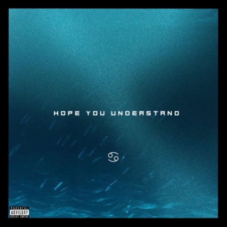 HOPE YOU UNDERSTAND | Boomplay Music