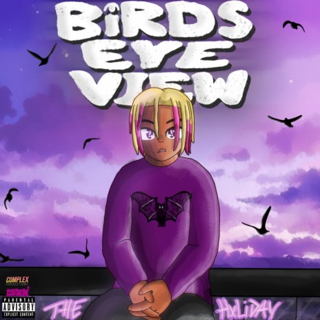Birds Eye View ft. TheHxliday | Boomplay Music