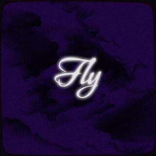 Fly