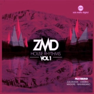 ZMD House Rhythms, Vol. 1