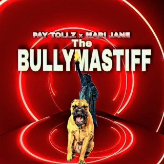 The Bully Mastiff