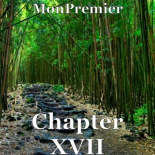 Chapter XVII