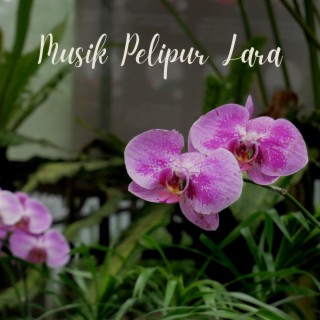 Musik Pelipur Lara