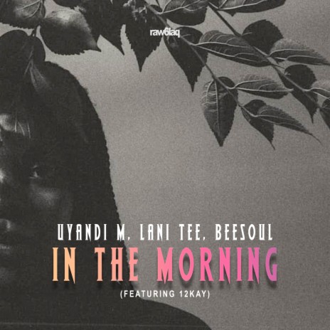 In the Morning ft. Uyandi M, BeeSoul & 12Kay