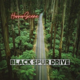 Black Spur Drive