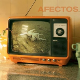 Afectos