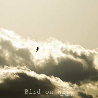 Bird on Wire