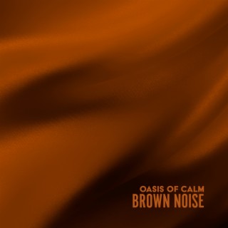 Oasis of Calm: Brown Noise and Nature Sounds Effective on Subconscious Level, Bilateral Stimulation for Relaxation of Body and Mind