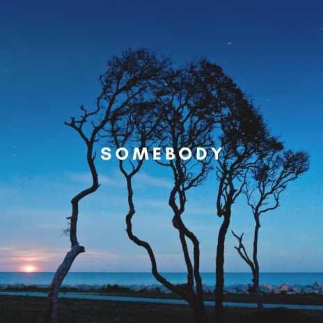 Somebody ft. Kvarmez | Boomplay Music