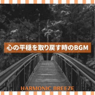 心の平穏を取り戻す時のbgm