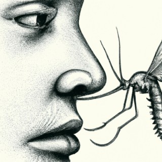 Mosquito inside your nose? lyrics | Boomplay Music