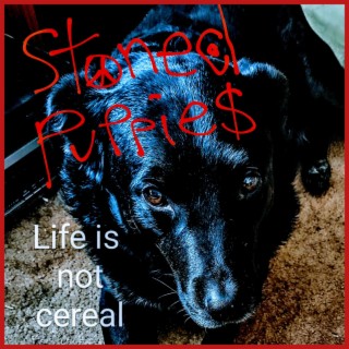 Life is not cereal