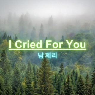 I Cried for You