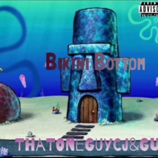 Bikini bottom